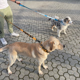 SOLID leash